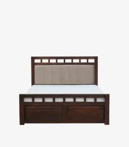 Alyano Sheesham Wood Queen Size Bed with Drawer Storage (Teak Finish)