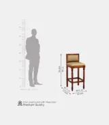 Ezora Sheesham Wood Bar Chair (Honey Finish)