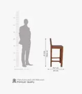 Wolter Sheesham Wood Bar Chair (Teak Finish)