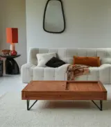 Bannie Solid Acacia Wood Coffee Table with Storage (Acacia Varnished)